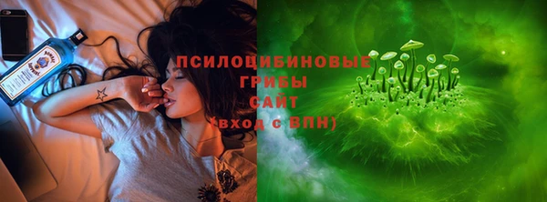 шишки Богданович