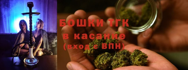 молекула духа Белоозёрский