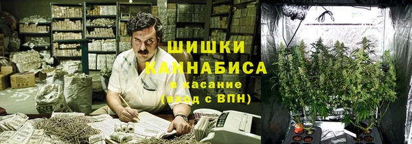 mdpv Белокуриха