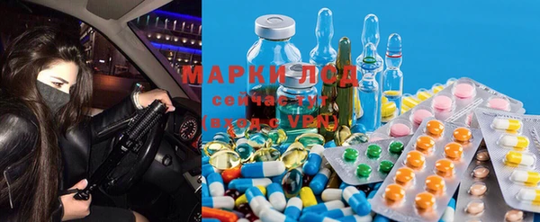 шишки Богданович