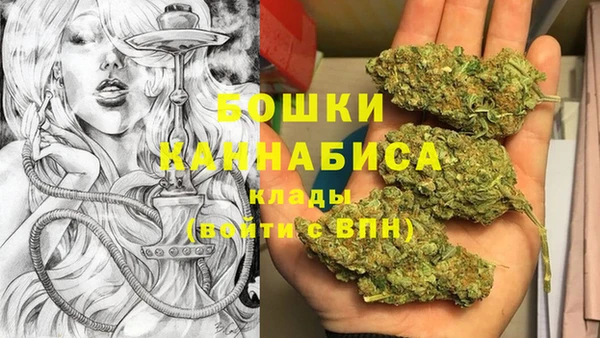 mdpv Белокуриха