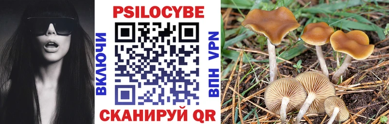 купить закладку  Сердобск  Галлюциногенные грибы Psilocybe 